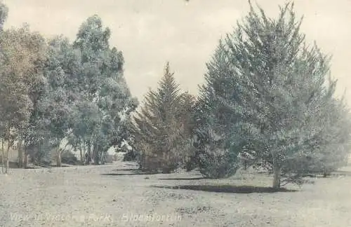 Postcard South Africa Bloemfontein Victoria Park