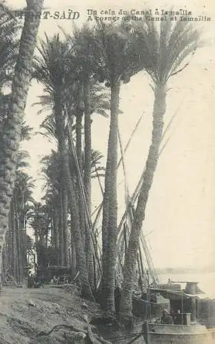 Postcard Egypt Port Said steamboat and Nile river coast