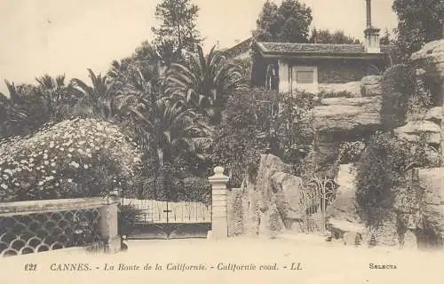 Postcard France Cannes la route de la Californie