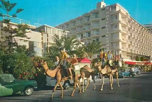 Postcard Spain > Islas Canarias > Tenerife costa del puerto de la cruz