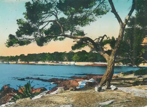 Postcard France Var > Boulouris bord de mer