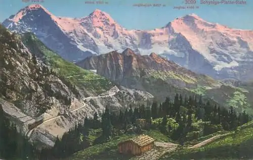 Postcard Switzerland Sohynige Platte Bahn