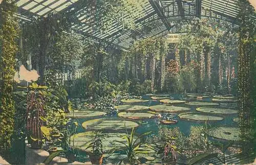 Germany Frankfurt am Main Palmengarten Viktoria regia