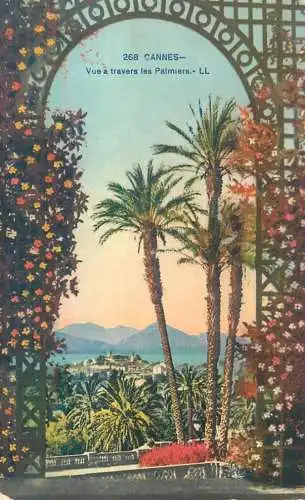 France Cannes vue a travers les palmiers