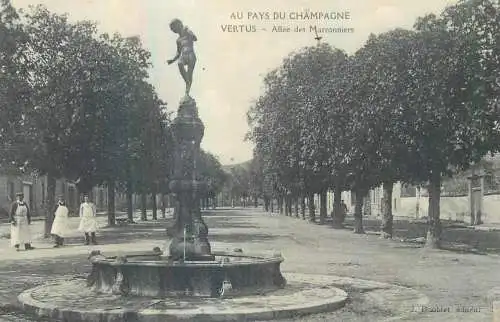 France Au Pays du Champagne Vertus Allee des Marronniers
