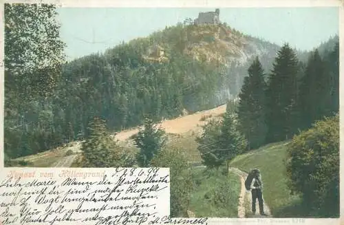 Postcard Poland Wrocław Kynast vom Hollengrund