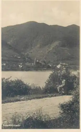 Postcard Germany  Schwallenbach