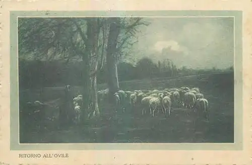 Ritorno all'Ovile sheep flock