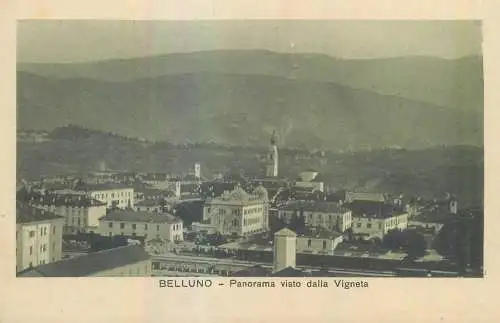Italy Belluno Panorama visto dalla Vigneta