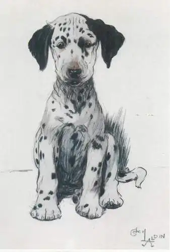 Postcard animals dog dalmatian by Cecil Aldin Loopy the Puppy