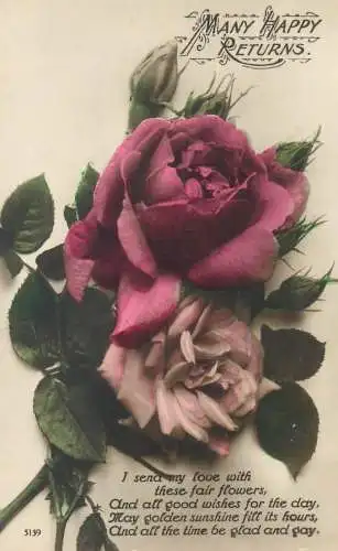 Postcard greetings card UK Birthday many happy returns rose flower