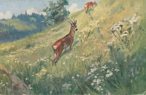 Postcard greetings card Paintings Paul Leuteritz deer in field