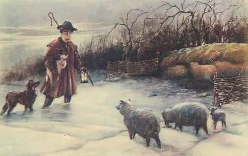Postcard greetings card painting Douglas Il Piccolo Agnello Sperdutto London
