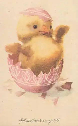 Postcard greetings card Easter scene painted eggs and chicks Hungary