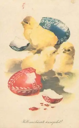 Postcard greetings card Easter scene painted eggs and chicks
