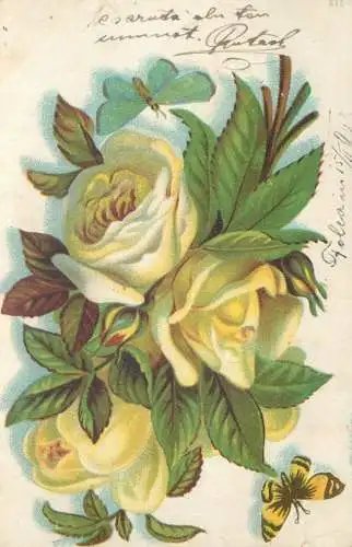 Postcard greetings card rose flower hungary 1928