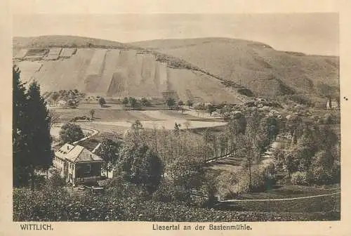 Germany Wittlich Liesertal an der Bastenmuhle general view