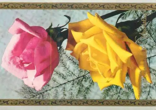 Postcard Germany  flower rose scene
