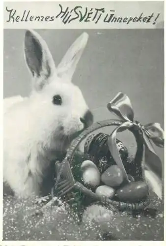 Postcard photo Hungary Easter scene Kellemes Husveti Unnepeket bunny