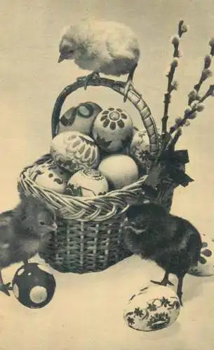 Postcard photo Easter eggs and chickens Hungary