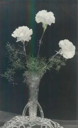 Postcard photo flowers in a vase