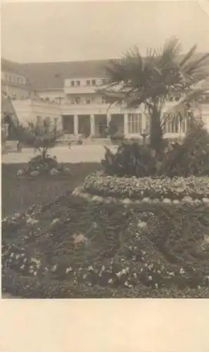 Postcard photo place to identify mansion and pal tree
