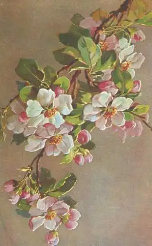 Postcard paintings flower branch