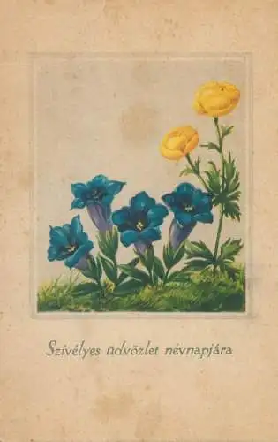 Postcard greetings card flowers Szivelyes udvozlet nevnapjara flower scene