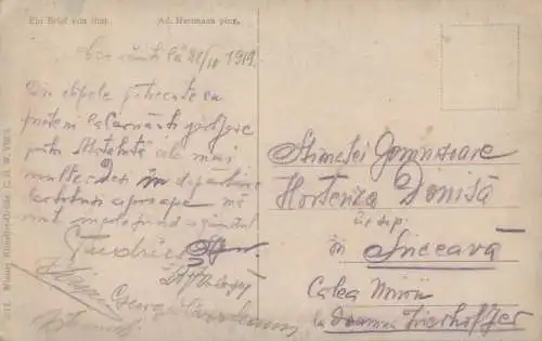 Romania corespondenta 1919 Cernauti - Suceava Kunstler Ad. Hartmann - Ein Brief von ihm ( A letter from him )
