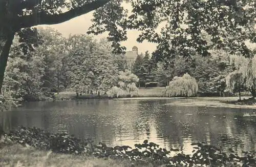 Germany Mittweida Schwanenteich