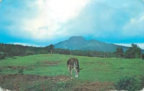 El Cerro de Paracho Mexico