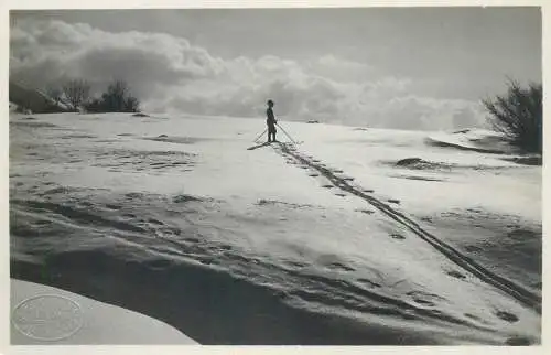 Winter scenery ski types and scenes place to identify