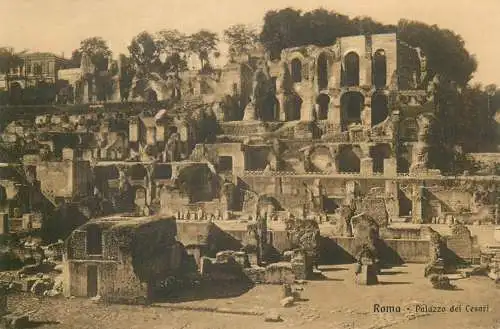 Postcard Italy Rome panorama del Foro Romano Palazzo dei Cesari