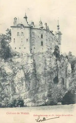 Postcard Belgium chateau de Walzin Cohn Donnay Liege Bruxelles