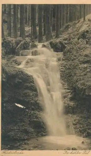 Postcard Germany > Thuringia > Friedrichroda der Wasserfall