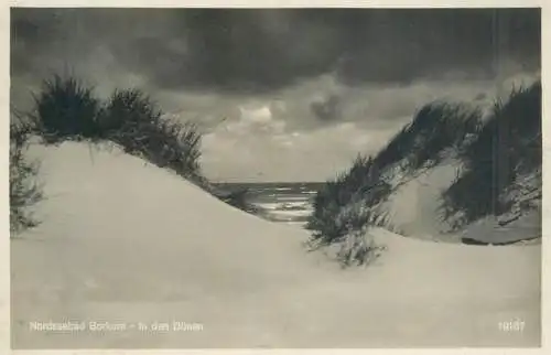 Postcard Germany Nordseebad Borkum in den dunen