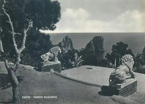 Postcard Italy Capro Parco Augusto