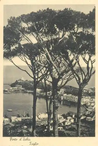 Postcard Italy Porto d'Ischia Taglio
