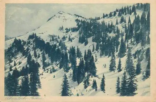 Germany Bayerische Allgau Skiparadies "Schneeloch" Falken
