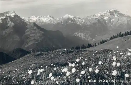 Postcard Switzerland Paysage a Bretaye