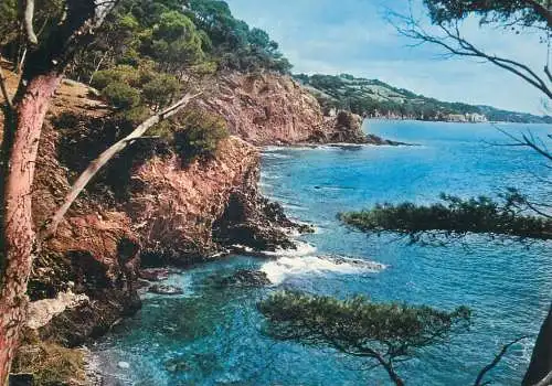 Postcard France Var Giens Cote d'Azur