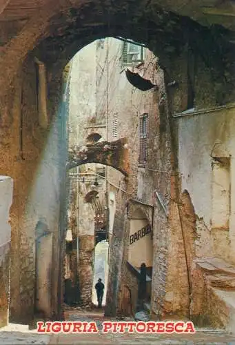 Postcard Italy Liguria Pittoresca Pigna un Carugio