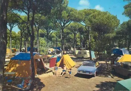 Postcard Italy Marina di Grosetto Campeggio Enal Rosmarina