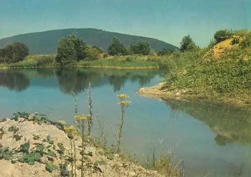 Postcard Switzerland conserver les lieux humides etang de Pauliere