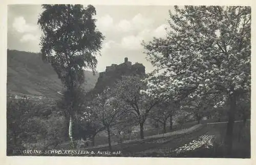 Postcard Czech Republic Střekov Castle