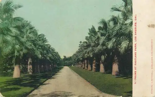 USA Los Angeles CA Eastlake palms alley