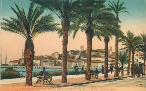 France Cannes Les Palmiers de la Croisette & le Mont Chevalier
