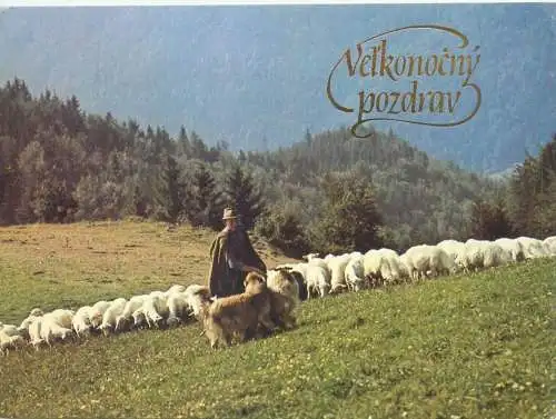 Easter shepherd with sheep flock in the mountains