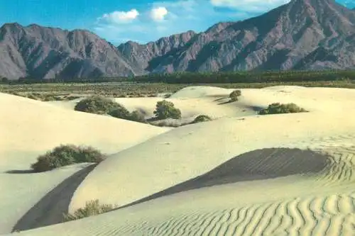 Postcard United States CA - California > Los Angeles desert sands and dunes