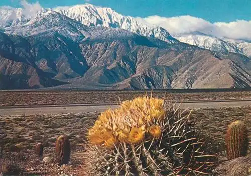 Postcard United States CA - California > Santa Ana desert contrast